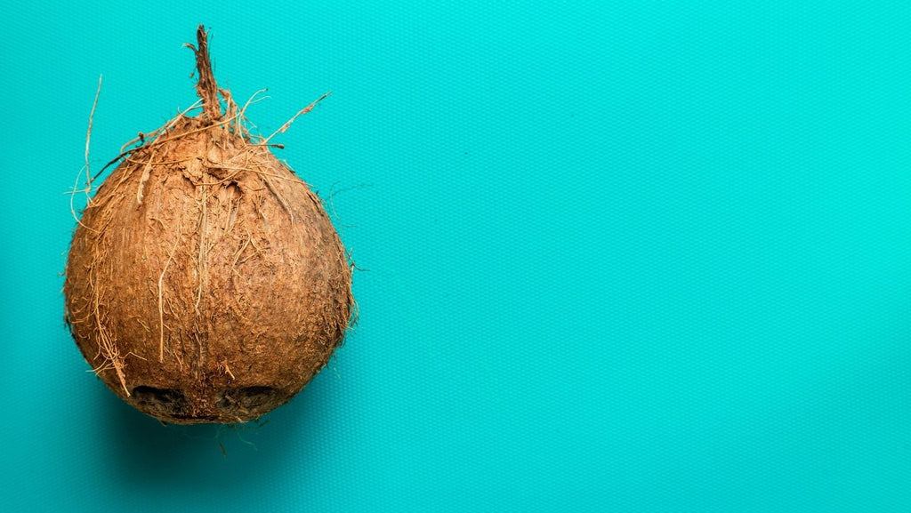 Harina de coco: Todo lo que necesitas saber de esta harina