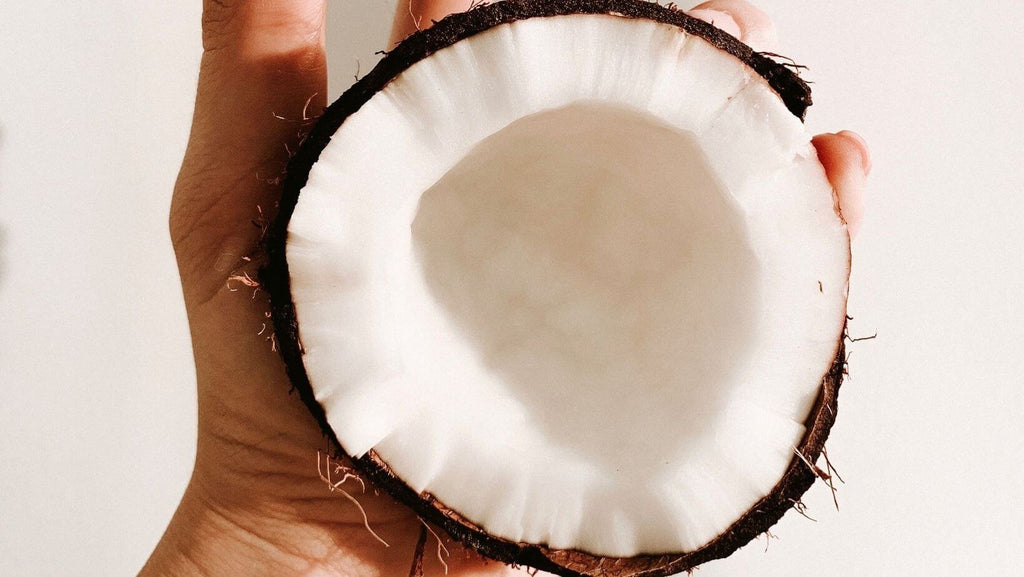 Leche de coco: Qué es y cuáles son los mejores sustitutos